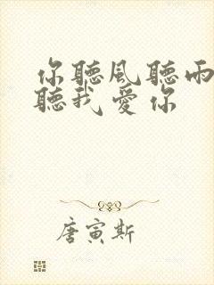 你听风听雨却不听我爱你