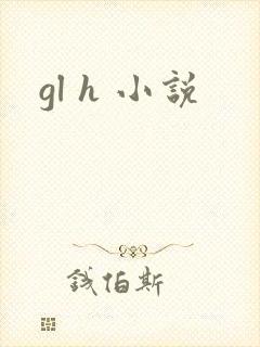 gl h 小说