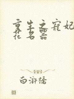 重生之宠妃白莲花名器