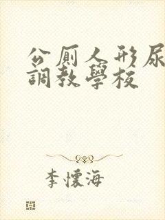 公厕人形尿便器调教学校