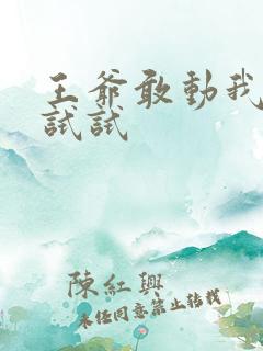 王爷敢动我妈咪试试