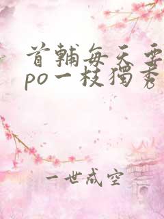 首辅每天要不够po一枝独秀全文