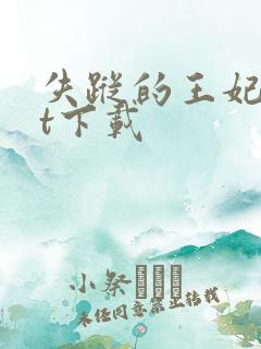 失踪的王妃txt下载