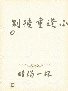 别后重逢小说po