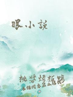 眼小说