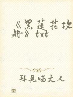 《黑莲花攻略手册》txt