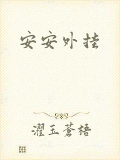 安安外挂