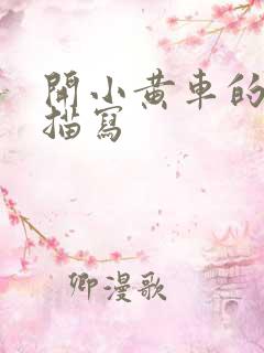 开小黄车的细腻描写