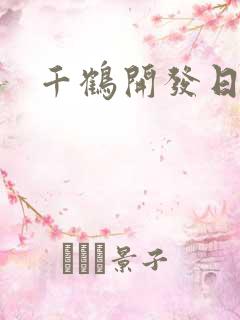 千鹤开发日记
