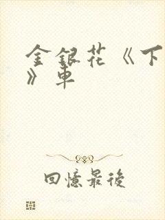 金银花《下厨房》车