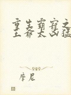 重生霸宠之摄政王爷太凶猛