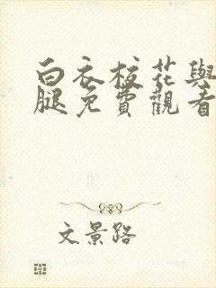 白衣校花与大长腿免费观看电视剧