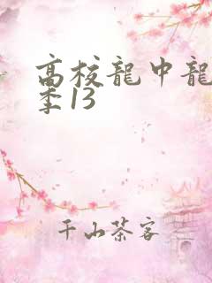 高校龙中龙第二季13