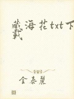 藏海花txt下载