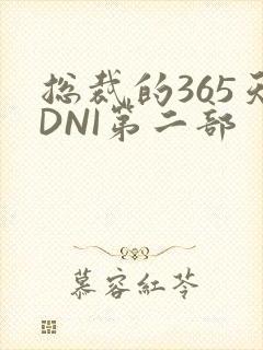 总裁的365天DNI第二部