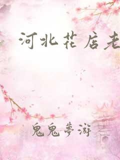 河北花店老板娘
