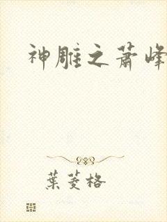 神雕之萧峰后人