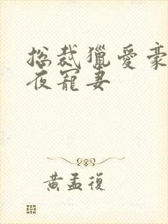 总裁猎爱豪门一夜宠妻