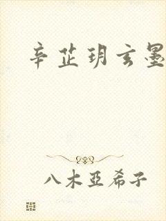 辛芷玥玄墨小说