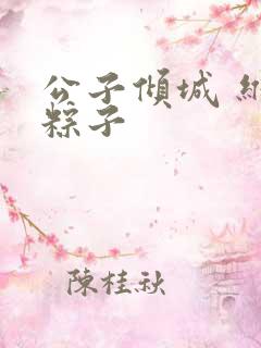 公子倾城 维和粽子