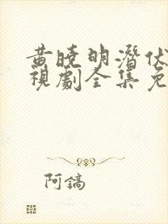 黄晓明潜伏者电视剧全集免费观看