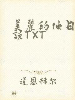美丽的他日剧小说TXT