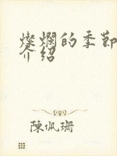 灿烂的季节剧情介绍