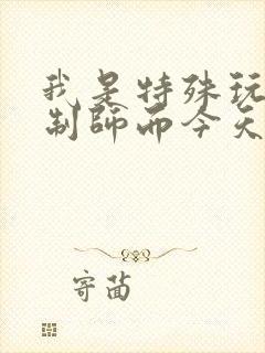 我是特殊玩具定制师而今天的客户