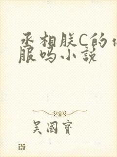 丞相朕C的你舒服吗小说