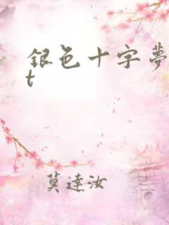 银色十字梦txt