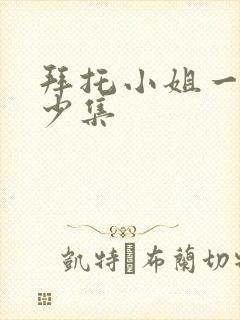 拜托小姐一共多少集