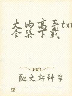 大内高手txt全集下载