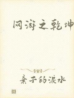 网游之乾坤无极