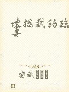 坏总裁的临时娇妻