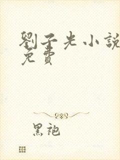 刘子光小说全文免费