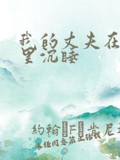 我的丈夫在冰箱里沉睡