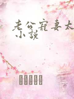 老公宠妻太甜蜜 小说