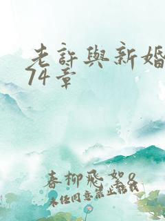 老许与新婚小倩74章