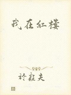 我在红楼
