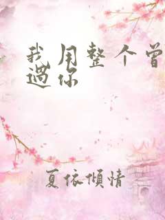 我用整个曾经爱过你