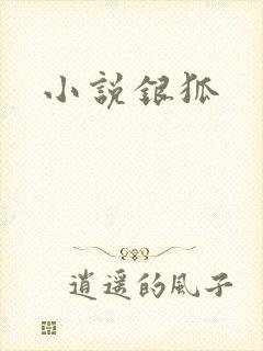 小说银狐