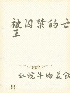 被囚禁的亡国公主