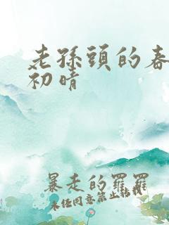 老孙头的春天林初晴