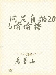 网友自拍2015偷偷撸