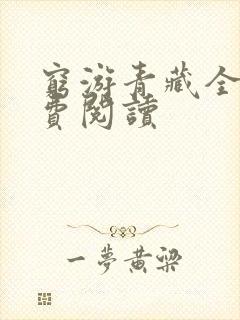 穷游青藏全文免费阅读