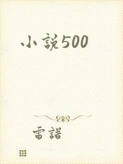 小说500