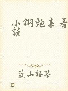 小钢炮来看我小说