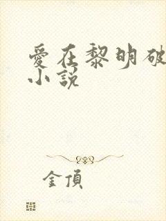 爱在黎明破晓前小说