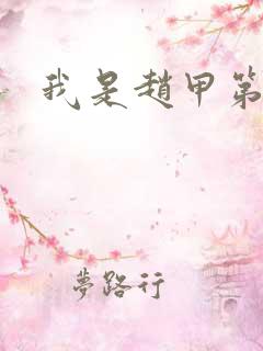 我是赵甲第小说