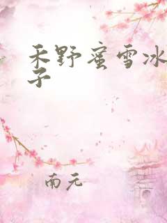 禾野蜜雪冰城本子